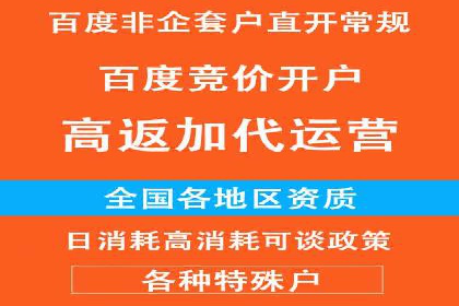 深入了解SEM竞价代运营公司：成功背后的故事